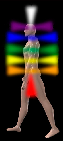 Chakra's